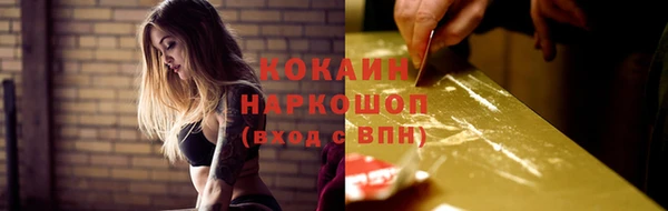 гидра Наволоки